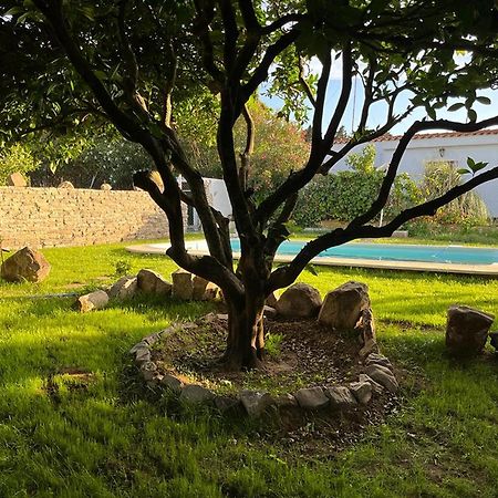 Casa Rural Con Piscina Y Jacuzzi En Conil De La Frontera Villa Cadiz Luaran gambar