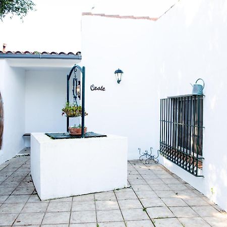 Casa Rural Con Piscina Y Jacuzzi En Conil De La Frontera Villa Cadiz Luaran gambar